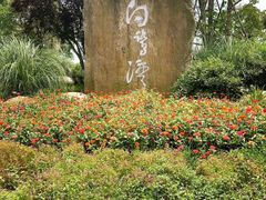 -白鹭湾湿地公园