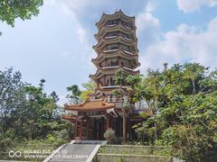 -深圳仙湖植物园