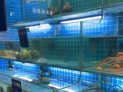 -鸽子侯·家宴·平价海鲜(市图书馆店)