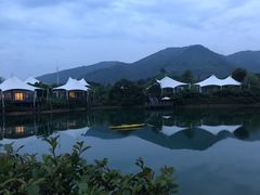 -帐篷客·溪龙茶谷度假酒店