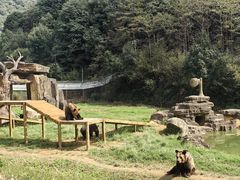 -杭州野生动物世界
