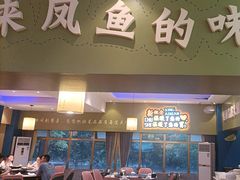 -新概念来凤鱼(璧山店)
