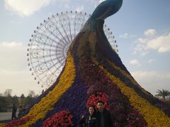 -七彩云南欢乐世界