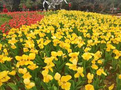 -东南花都花博园