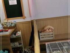 -猫猫幼稚园·撸猫·桌游·电玩