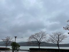 -水上明月·湖景餐厅
