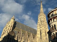 -斯蒂芬主教座堂(Stephansdom)