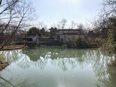 -西溪国家湿地公园