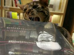 -猫的天空之城概念书店(杭州南宋御街店)