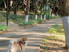 -燕晗山郊野公园