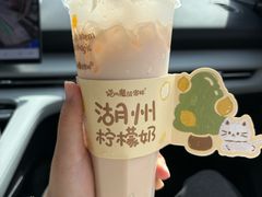-猫的魔法密林(衣裳街店)