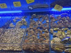 -黑石礁酒楼·海鲜(黑石礁店)