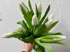 -循礼门鲜花花市(武汉循礼门店)