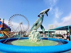 -海合安武汉极地海洋公园