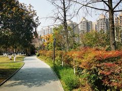 -成都南湖公园
