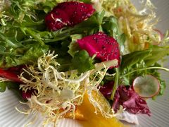 果蔬大拌菜-大鸭梨烤鸭(金色漫香店)