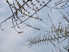 -渭滨公园