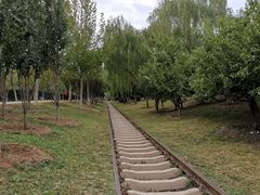 -永定河休闲森林公园