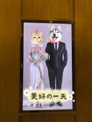 -沈阳君悦酒店·宴会厅