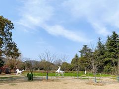 -白马涧龙池景区