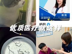 -芭比堂动物医院·CT·微创中心(新顺分院)