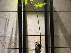 -沁园·珍藏湘味(芙蓉广场店)