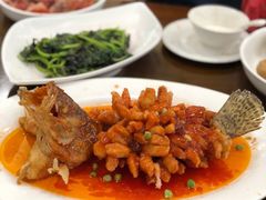 松鼠桂鱼-老苏州茶酒楼