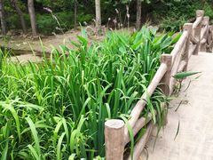 -白水寺森林公园