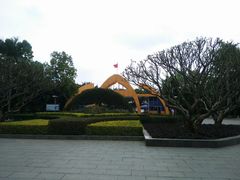 -金花茶公园