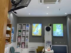 -关爱宠物医院·猫科中心·消化科(滨湖万达分院)