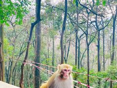 -黔灵山公园