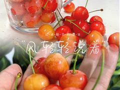 -樱桃山旅游景区