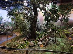 -陕西自然博物馆