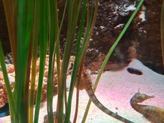 -沈阳海洋探索中心