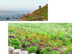 -燕儿岛山公园