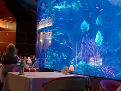 -迪拜帆船酒店海底餐厅