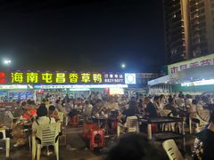 -盐禾堂海南屯昌香草鸭(总店)