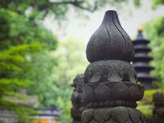 -普陀山风景名胜区-法雨禅寺