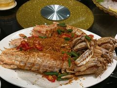 -海王老记