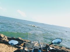 -东郊椰林