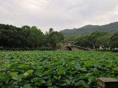 -骏莱海鲜鱼港(五角场店)