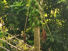 -火炉山森林公园