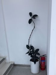 点击看大图 -蒋伟时尚造型