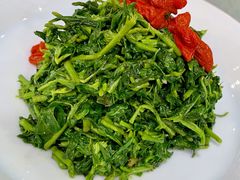 凉拌枸杞芽-小叶手抓(解放东街店)