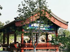 -西海子公园