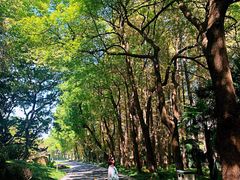 -采石矶景区