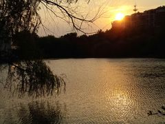 -雨湖公园