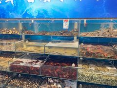 -仙螺岛海鲜自助餐厅(总店)