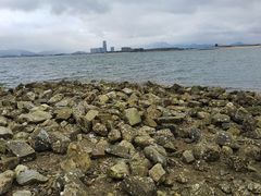 -养马岛旅游度假区