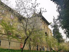 -武汉大学-樱园